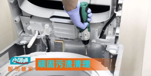附近保洁公司大比拼，排名揭晓，最佳清洁服务提供者一览无余