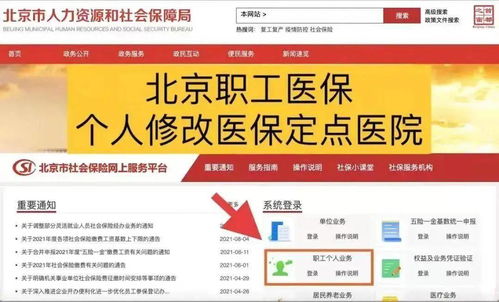 石排镇最新招聘信息大全，今日岗位更新速递