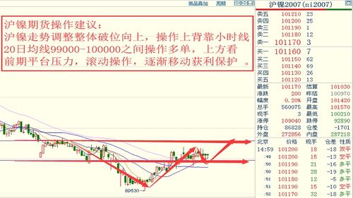 毛羊最新价格行情及市场走势分析与预测今日揭秘