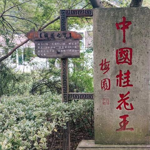 绍兴自助游全攻略，畅游水乡风情必知！