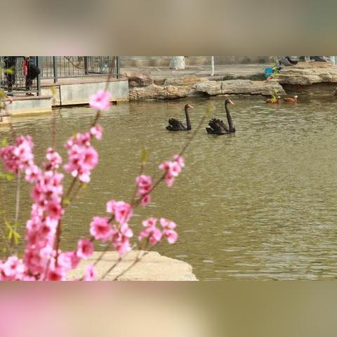 周口冷空气来袭，最新消息、影响及应对方案！