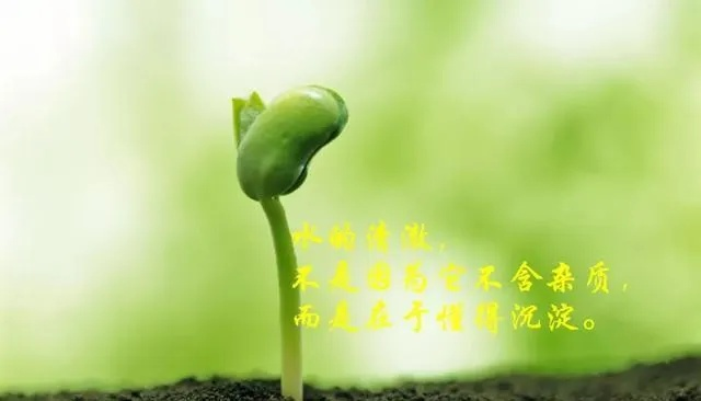 绿色励志语录，唤醒生命力量，点燃希望之火