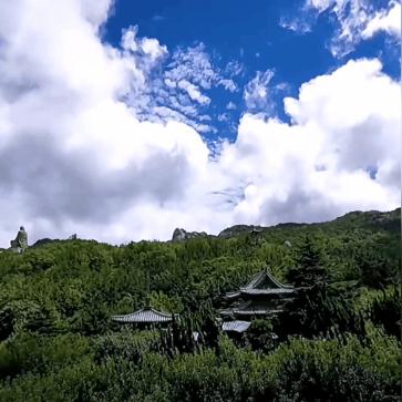 石岛最新热点新闻速递
