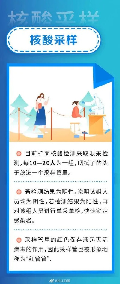 核酸检测最新进展与面临的挑战，全面解析新闻头条