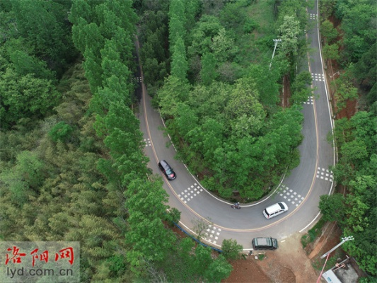 洛阳山村路迎新篇章，头条新闻抢先看