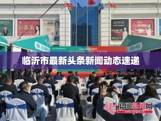 郯城时事热点聚焦，最新发展动态与新闻头条速递