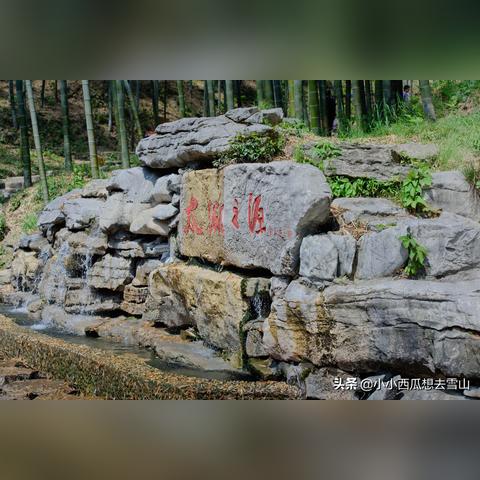 宜兴雪落实时观察，最新雪景美不胜收