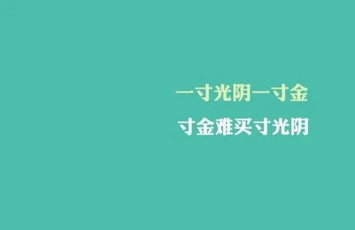 2025年5月 第505页