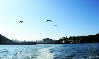 昆明雨意浓，阴天旅游攻略，感受诗意浪漫之旅