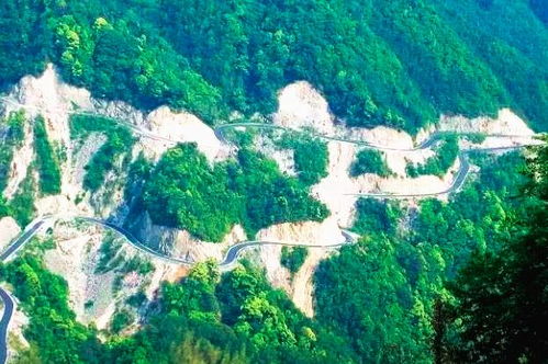 渝都茶山探秘，绝美旅游攻略图，领略茶山之美