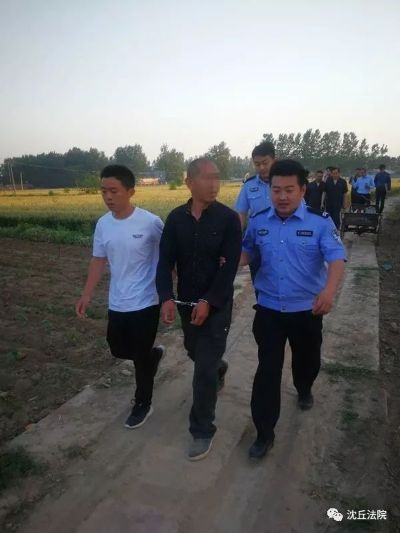 沈丘盗窃破案最新视频揭秘，科技力量助力打造安全正义之城
