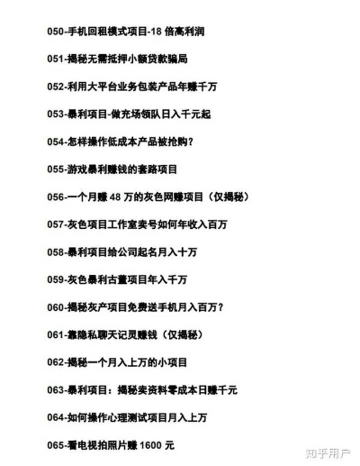 揭秘热门赚钱项目，TOP10赚钱项目排名图片全解析