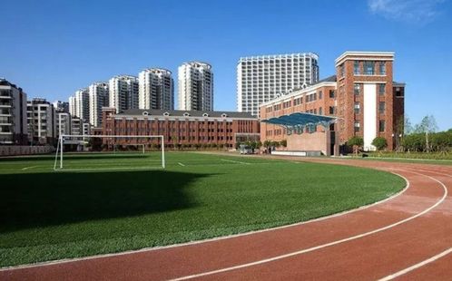 石菖蒲最新收购价格及市场走势、影响因素深度解析
