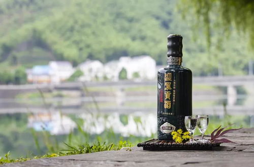 全球火把品牌排行榜TOP级，谁领风骚？