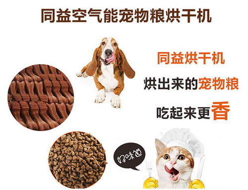 广州宠物驯养公司权威排名，专业引领，品质至上，你的宠物成长首选！