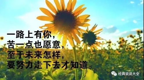 2025年5月13日 第17页