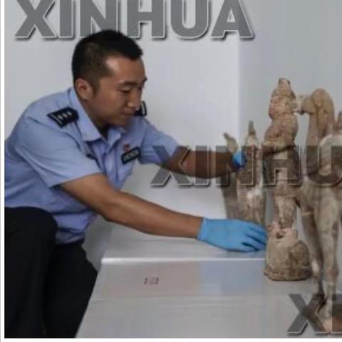陕西瓜价最新动态揭秘，行情波动背后的原因探索