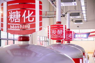 滨州啤酒仓库最新地址揭秘，探索啤酒文化背后的故事与最新动态进展