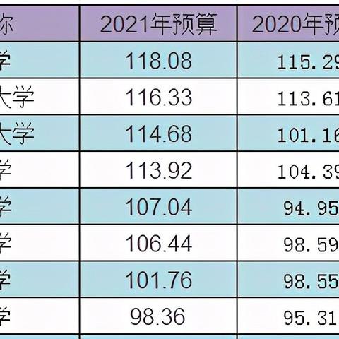 全球顶尖大学预算排名揭秘，高等教育资源的深度审视