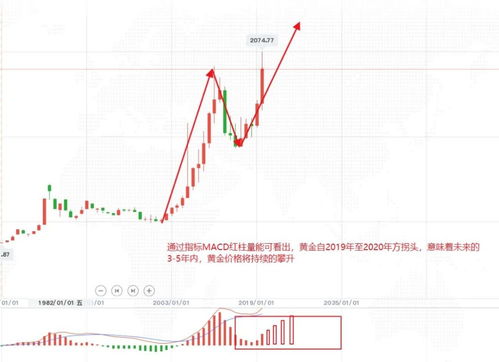 东莞厚街今日金价更新，市场走势深度解读与最新消息速递