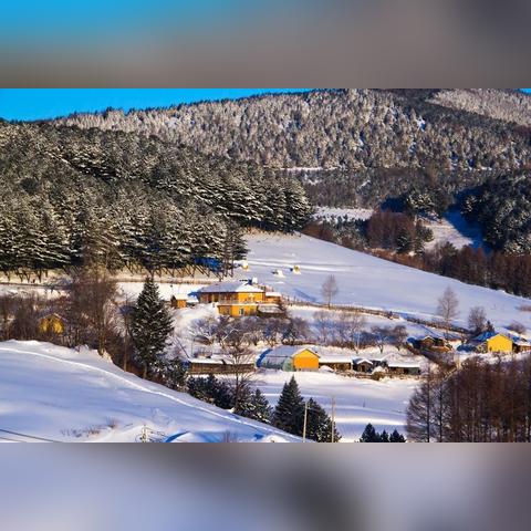 雪村夏季旅游攻略，揭秘别样夏日风情之旅