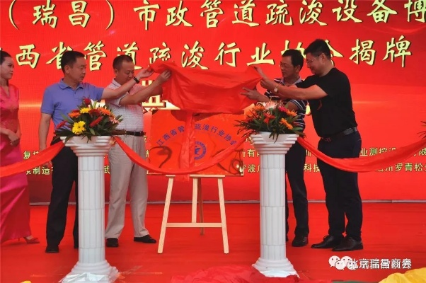 揭秘瑞昌公司行业排名及成功要素，行业翘楚背后的故事！