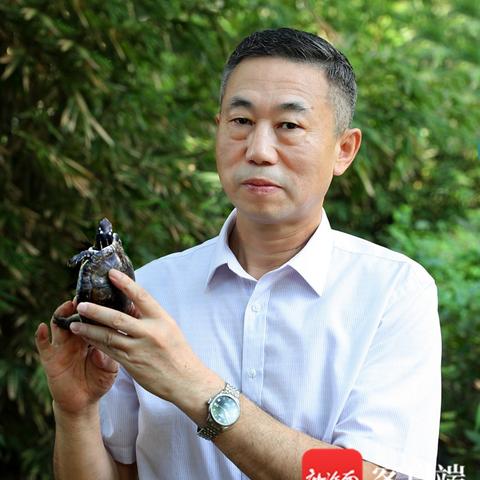 世界生物论文排名背后的科研力量与趋势深度解析