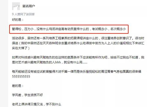 独家揭秘，上海硅土公司行业排名及领先秘诀！