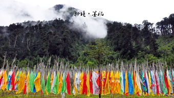 墨脱旅游攻略揭秘，探索神秘之地之旅