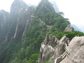 黄山与千岛湖，梦幻旅游攻略之旅