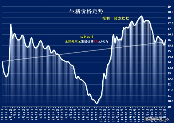 最新今日生猪价格走势分析表揭秘，涨价背后的原因与趋势解读