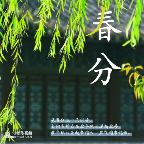 春之韵，探索春天的拼音与美好，与百度共舞春意盎然