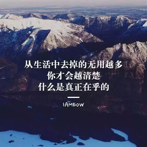 托育成长动力，点亮未来之光励志语录