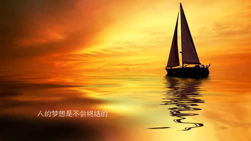 励志语录老陆，指引人生航向的璀璨明灯