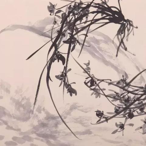 「兰花品种大全揭秘！千姿百态的兰花世界等你来探索！」