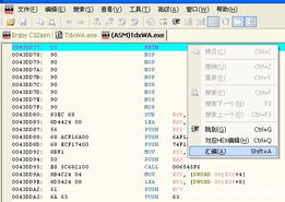 逐浪最新章节攻略大全，图文导航，阅读必备手册