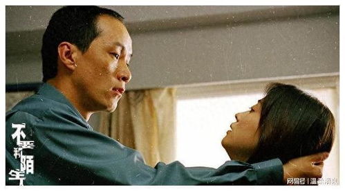 罗翔家暴视频真相揭秘，社会态度的反思与在线观看热议