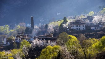 川西秘境探秘，揭秘拉萨之美，必打卡旅游攻略！