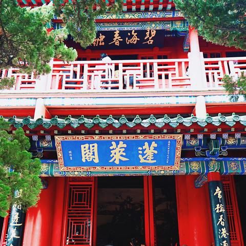 蓬莱最新旅游攻略揭秘，仙境之岛的神秘魅力探索