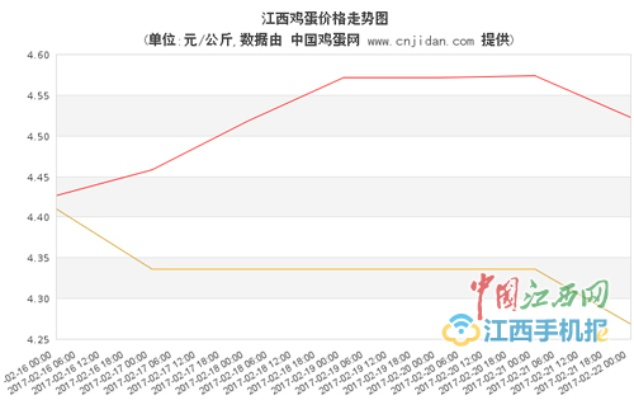 南昌鸡蛋今日行情分析及最新价格
