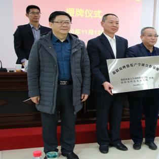 专利运营公司排行榜揭晓，行业领军者的秘密大揭秘！