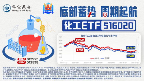 今日华宝新闻聚焦热点事件，深度解读市场动态最新报道