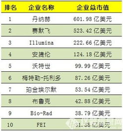 美国装饰公司TOP10排名解析，行业巨头深度剖析