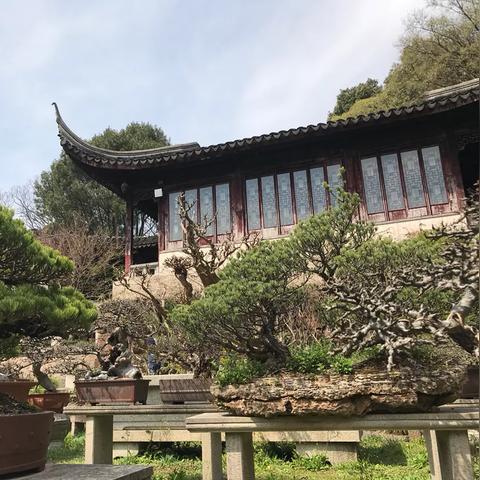 虎丘入园攻略，探访千年文化，尽享独特之旅