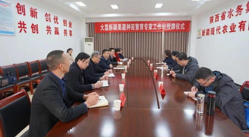 东平县刘口镇最新热点新闻聚焦