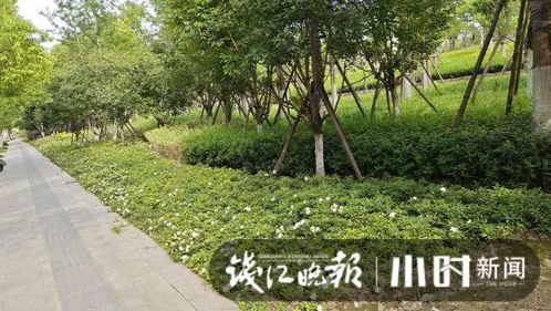 2025年5月 第8页