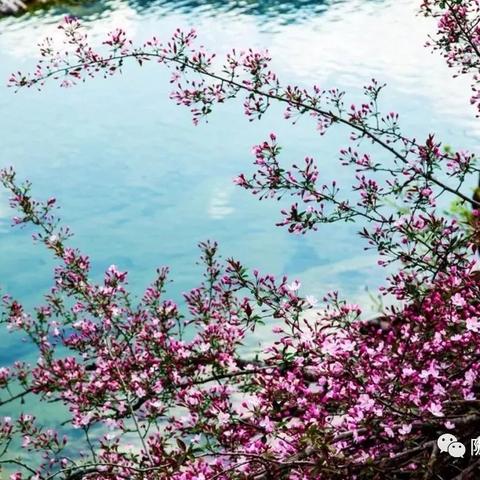 徽县商业巨头榜单揭晓，探寻当地顶尖企业排名