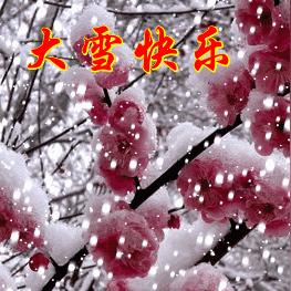 大雪节气绝美相册模板集合，创意无限！