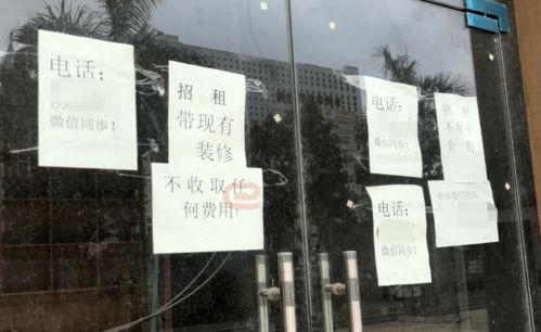 2025年5月 第106页
