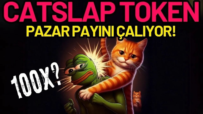 全球Popcat榜单揭秘，流行文化之巅
